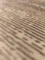 selge plain 3011c vizon 2