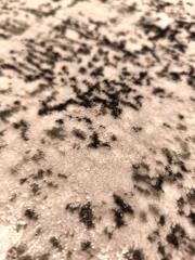 retro 7176b beyaz gri 2