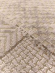 anemone an23a vizon 2