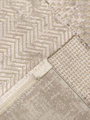 anemone an23a vizon 3